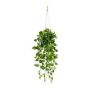 Panier suspendu avec philodendron scandens artificiel BLURA, pot décoratif, 75cm