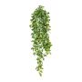 Figuier grimpant artificiel LARNIS, tuteur, vert, 80cm