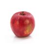 Pomme artificielle ADAM, rouge, 7,5cm, Ø8cm
