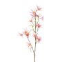 Branche décorative de Tweedia solanoides ZORHIL, rose métallisé, 75 cm
