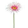 Fleur décorative Gerbera FELISY, rose-blanc, 65cm
