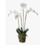 Orchidée artificielle PABLA, motte de mousse, blanc, 90cm, Ø10-13cm