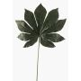 Feuille d'Aralia synthétique FARIS, vert, 55cm