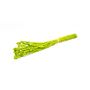 Alpiste des Canaries séché BRAGILA en botte, vert pomme, 50-75cm, Ø12cm