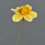 Fleur décorative Narcisse FEIHAO, orange-jaune, 40cm