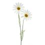 Marguerite décorative SOPY, blanc, 55cm