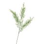 Fausse Branche d'asparagus sprengeri DOMINIK, 65cm