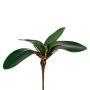 Feuilles décoratives d'orchidée Phalaenopsis ZULKRAM, tige, racines aériennes, 20 cm
