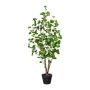 Plante artificielle Polyscias MULVI, pot décoratif, tronc artificiel, 110cm
