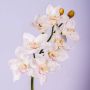 Tige d'orchidée Cymbidium artificielle FEONA, blanc, 60cm, Ø9-12cm