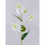 Fleur artificielle Gloriosa MAFIRNA, blanc-vert, 80cm