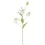Fleur artificielle Gloriosa MAFIRNA, blanc-vert, 80 cm