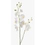 Tige d’orchidée Phalaenopsis en tissu LAHNA, blanc, 95cm, Ø5-10cm