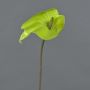 Fleur artificielle Anthurium FEIWU, vert clair, 65cm