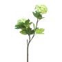 Branche décorative Boule de neige ALUO, vert clair, 50cm