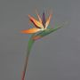 Fleur décorative Strelitzia DONGLIN, orange-violet, 85cm