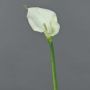 Fleur artificielle Zantedeschia ZHILONG, blanc, 55cm