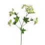 Branche décorative Euphorbia marginata MENGWEN, fleurs, crème-vert, 65cm