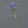 Fleur décorative Agapanthus ASONG, lilas-bleu, 75cm