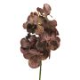 Fausse orchidée Vanda sur tige RUNBAO, marron, 70cm