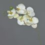 Orchidée Phalaenopsis artificielle sur tige SONGYA, blanc, 55cm