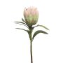 Fleur décorative Protea JIAHUI, rose-vert, 70cm