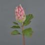 Fausse fleur de protea SHUHUI, fuchsia, 60cm