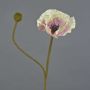 Fleur artificielle coquelicot YILAN, rose-blanc, 60cm