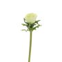 Fleur artificielle Anémone BOYANG, vert clair, 35cm