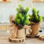 Fragrance Forêt de Sapins - Décoration de Noël naturelle