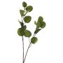 Branche décorative Eucalyptus AOSHAN, vert, 80cm