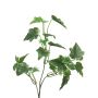 Branche décorative de Lierre LANSHUO, vert-blanc, 55cm