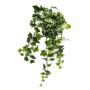 Buisson de Lierre LANSHUO sur piquet, vert-blanc, 70cm