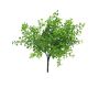 Herbe décorative Eucalyptus TINGYU sur piquet, vert, 30cm