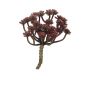 Fausse plante Echeveria macdougallii ULUO sur piquet, rouge bourgogne, 19cm