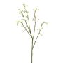 Branche décorative Saule tire-bouchon CHENGZI, crème, 70cm