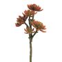 Fausse plante Echeveria elegans FEIFANG sur piquet, rouge-vert, 45cm