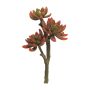 Echeveria elegans artificiel FEIFANG sur piquet, rouge-vert, 30cm