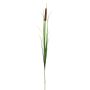 Tige artificielle de roseau WUYOU, épi, brun-vert, 180cm