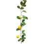 Guirlande décorative de citronnier XIALIN avec fruits, jaune, 180cm