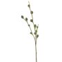 Branche décorative d'eucalyptus SHANSHAN avec fruits, vert, 60cm