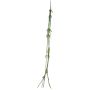 Suspension décorative Rhipsalis MINYAN, piquet, vert, 105cm