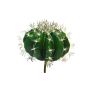 Cactus artificiel 'coussin de belle-mère' TONGNA, piquet, vert, 18cm