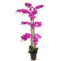 Fleur artificielle orchidée Phalaenopsis CHENXU, fuchsia, 140cm