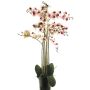 Fleur artificielle orchidée Phalaenopsis CHENXU, rose-crème, 110cm