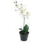 Fleur artificielle orchidée Phalaenopsis CHENXU, blanc, 35cm