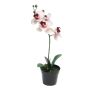 Fleur artificielle orchidée Phalaenopsis CHENXU, rose-crème, 35cm