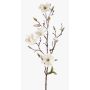 Magnolia synthétique LILO, crème, 75cm, Ø5-9cm