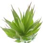 Fausse plante succulente Agave decipiens DEYUNA sur piquet, vert, 18cm