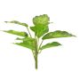 Plante décorative Dieffenbachia XUMEI, piquet, vert-crème, 25cm